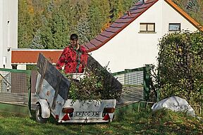 Durch die Blume...(?)