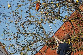 Dafür ist die Reichweite kein Problem.