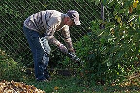 Standbild "Der Lauernde"