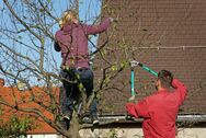 Auf dem Baum...