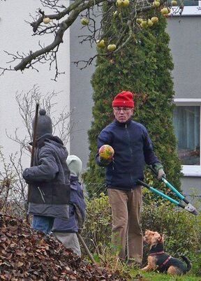 Wie üblich - alle sind beteiligt. (Und mittendrin: Polly, rechts unten.)