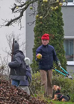 Wie üblich - alle sind beteiligt. (Und mittendrin: Polly, rechts unten.)