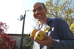 An manchen Bumen hängen die Äpfel geradezu in Trauben!