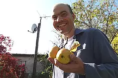 An manchen Bumen hängen die Äpfel geradezu in Trauben!