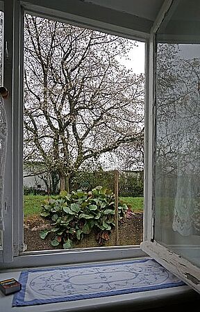 Draußen vor der Tür fand heute gar nichts statt. Nur der Blick wanderte manchmal auf die beginnende Kirschblüte hinaus...