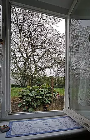 Draußen vor der Tür fand heute gar nichts statt. Nur der Blick wanderte manchmal auf die beginnende Kirschblüte hinaus...