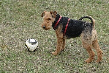 Für jeden findet sich etwas...