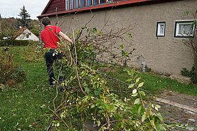 Kämpfender mit Gezweig II.