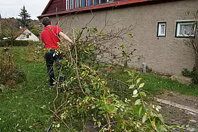 Kämpfender mit Gezweig II.