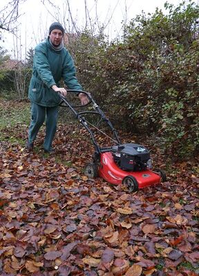 Der Meister des Gartens