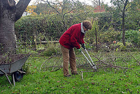 Was übers Jahr so heranwächst... Alles muss bewältigt werden.