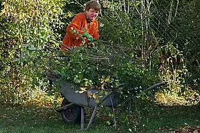 Kämpfende mit Gezweig.