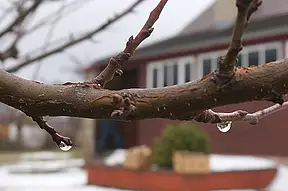 Das Datum hätte anderes Wetter erwarten lassen, ...