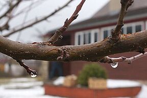 Das Datum hätte anderes Wetter erwarten lassen, ...