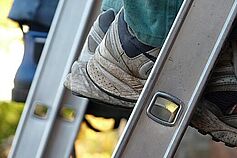 Einmütig auf der Leiter...