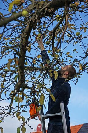 Ein Pfarrer greift nach den... - Sterne müssen's ja nicht immer sein.