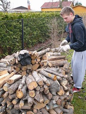 ...das jetzt an günstigerem Ort (und in vollendeter Formation) lagern wird.